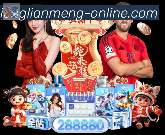 未来规划